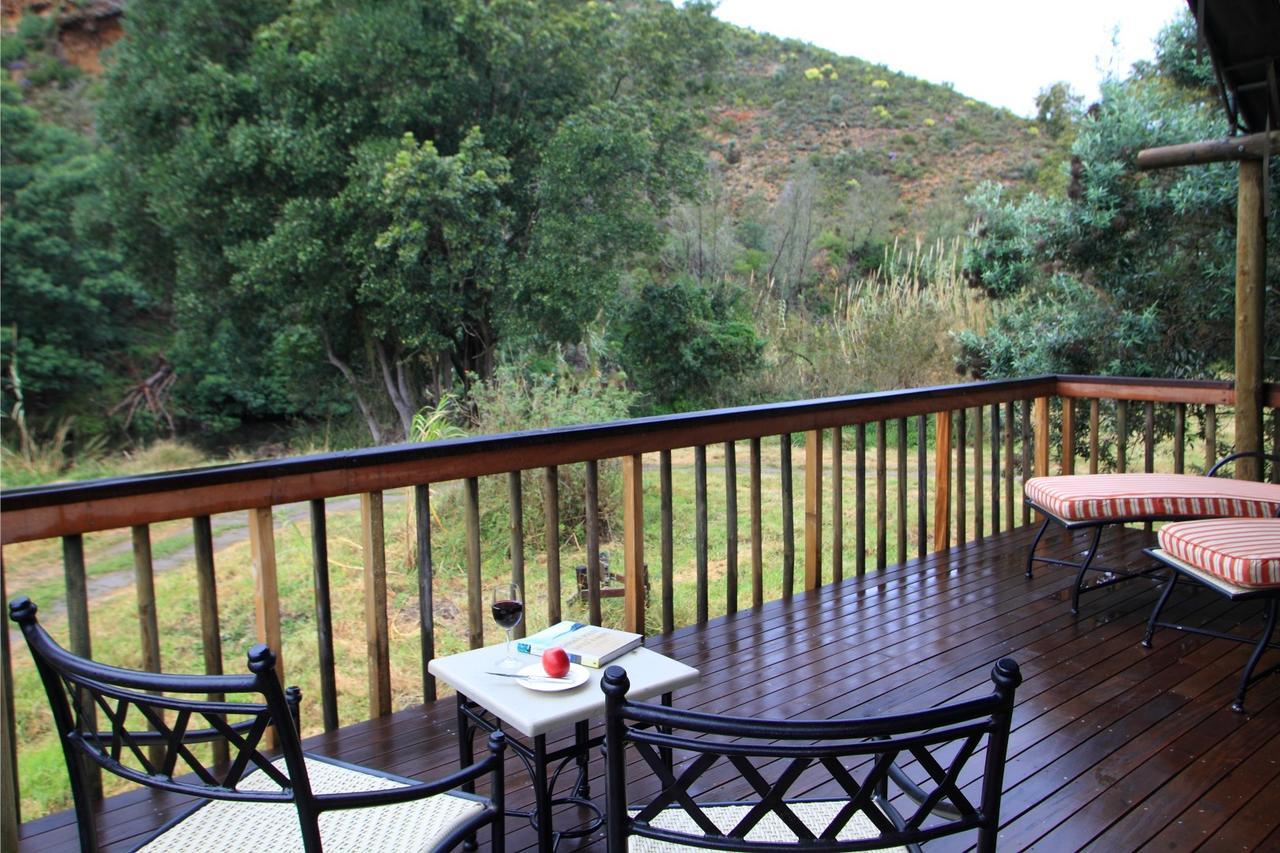 Botlierskop Private Game Reserve Reebok Kültér fotó